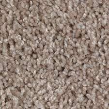 Triexta Carpet